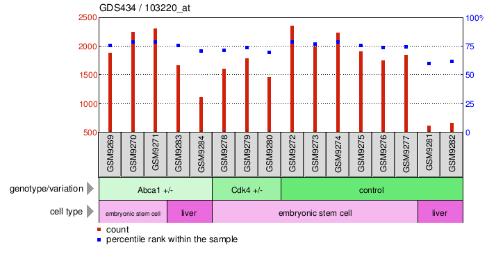 Gene Expression Profile