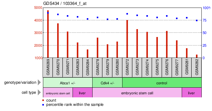 Gene Expression Profile