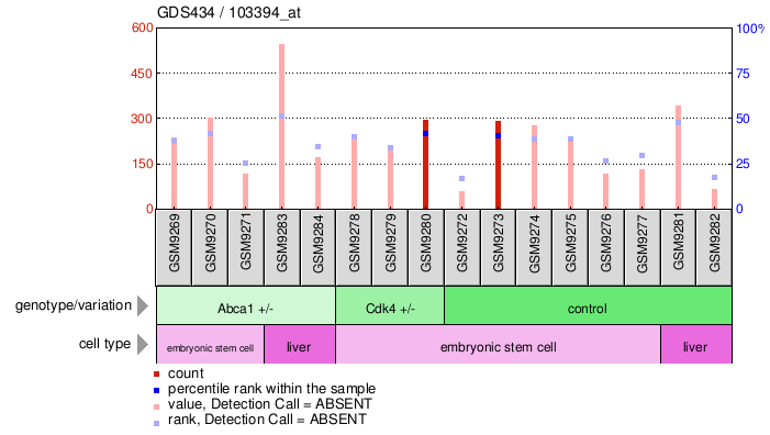 Gene Expression Profile