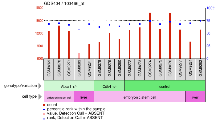 Gene Expression Profile