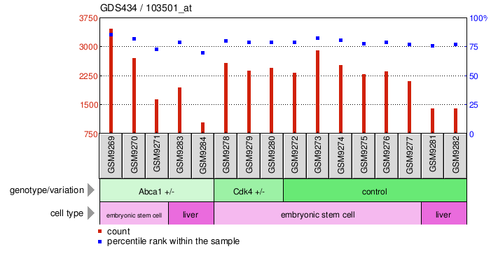 Gene Expression Profile