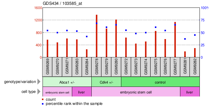 Gene Expression Profile