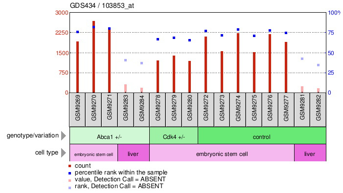 Gene Expression Profile