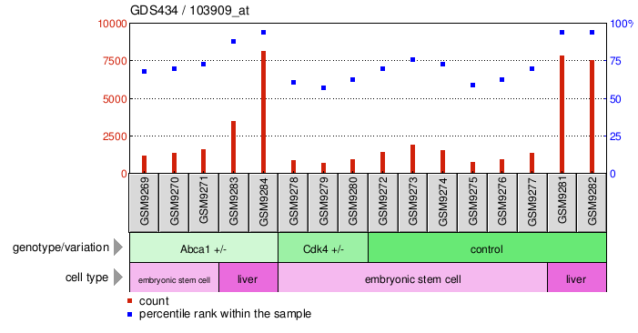 Gene Expression Profile