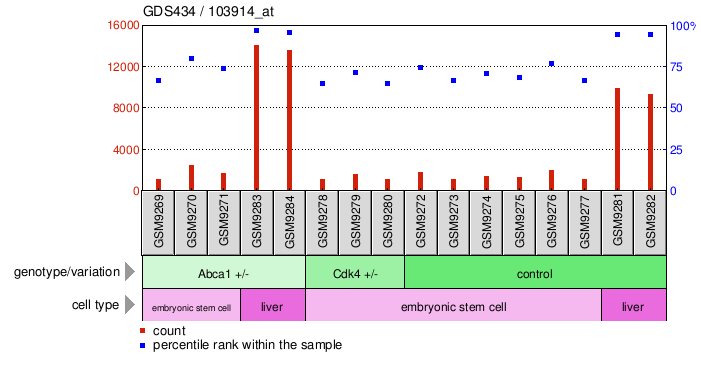 Gene Expression Profile