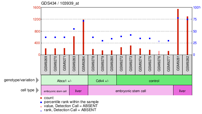 Gene Expression Profile