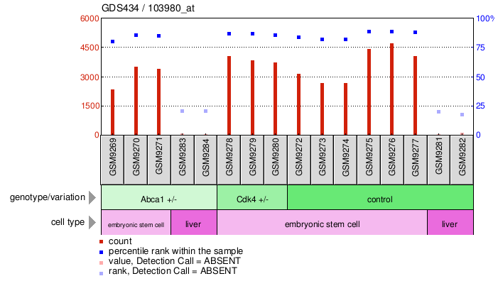 Gene Expression Profile