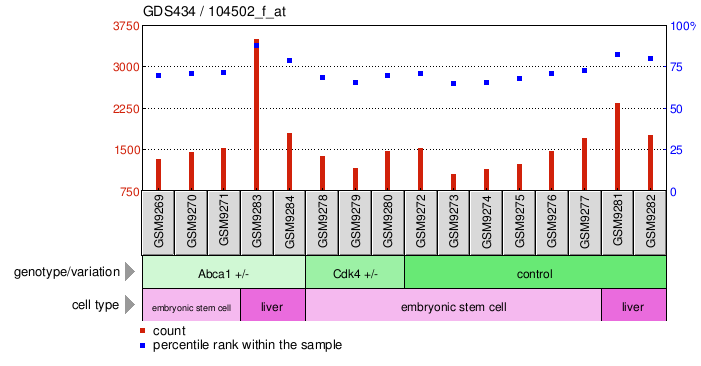 Gene Expression Profile