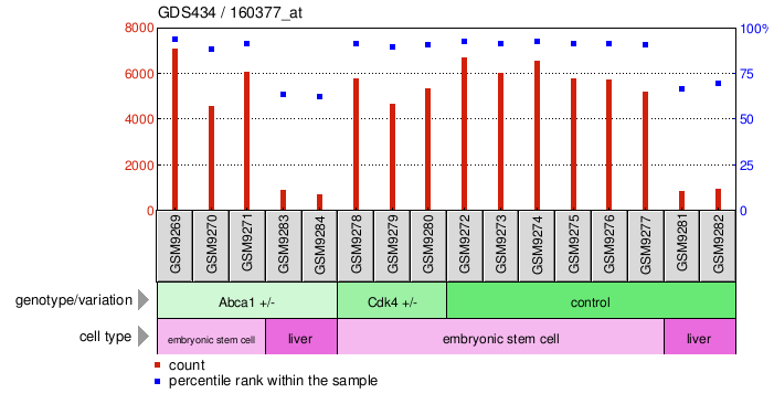 Gene Expression Profile