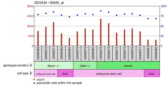 Gene Expression Profile