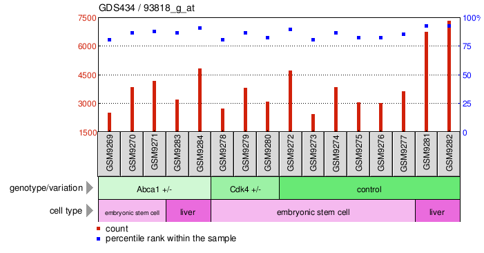 Gene Expression Profile