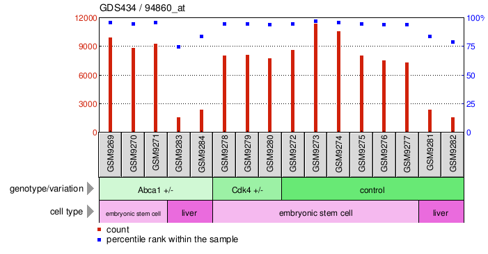 Gene Expression Profile