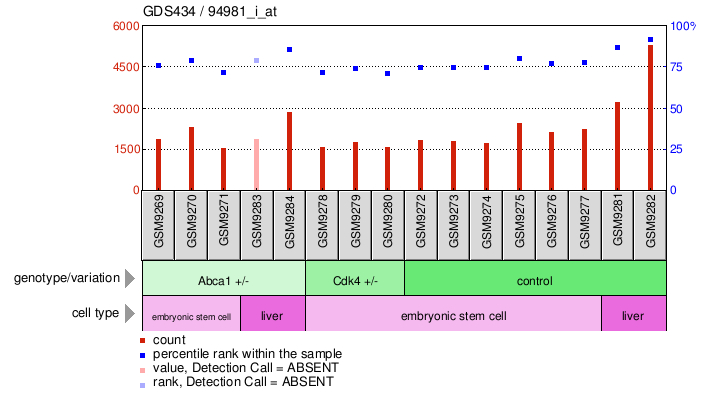 Gene Expression Profile