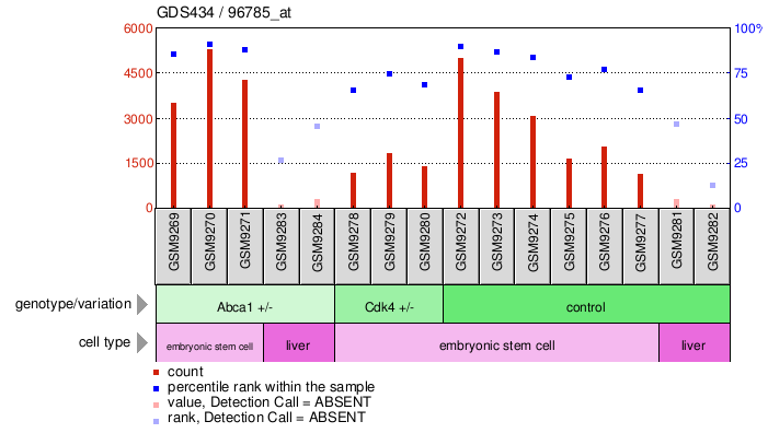 Gene Expression Profile