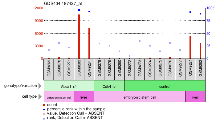 Gene Expression Profile