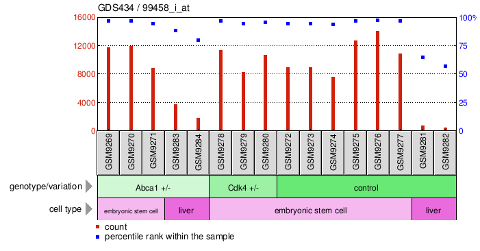 Gene Expression Profile