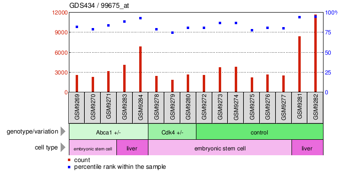 Gene Expression Profile