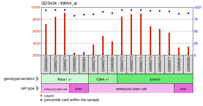 Gene Expression Profile