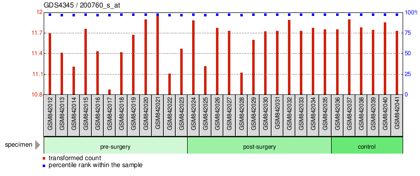 Gene Expression Profile