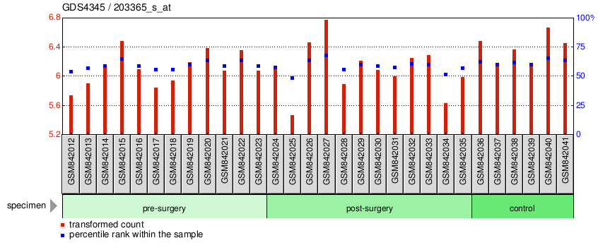 Gene Expression Profile