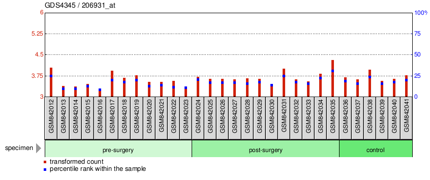 Gene Expression Profile