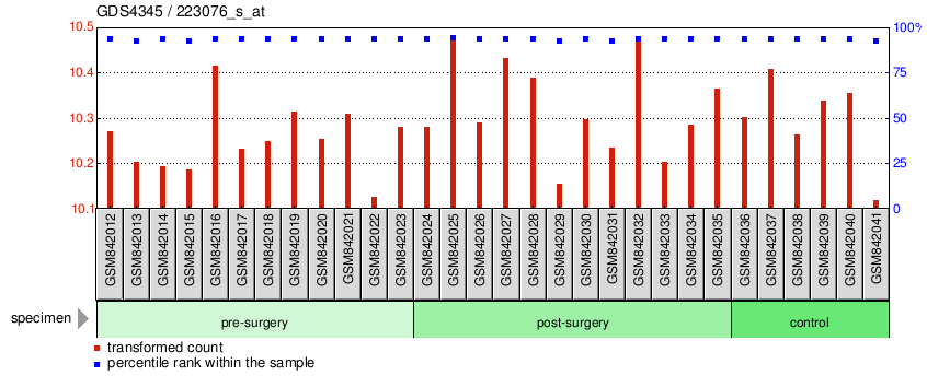 Gene Expression Profile