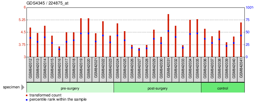 Gene Expression Profile