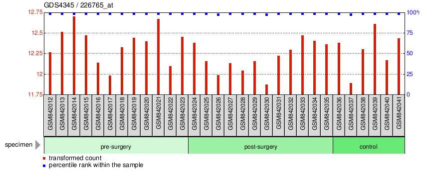 Gene Expression Profile