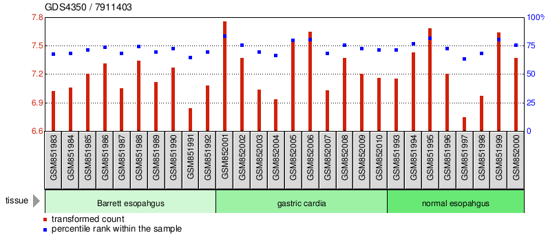 Gene Expression Profile