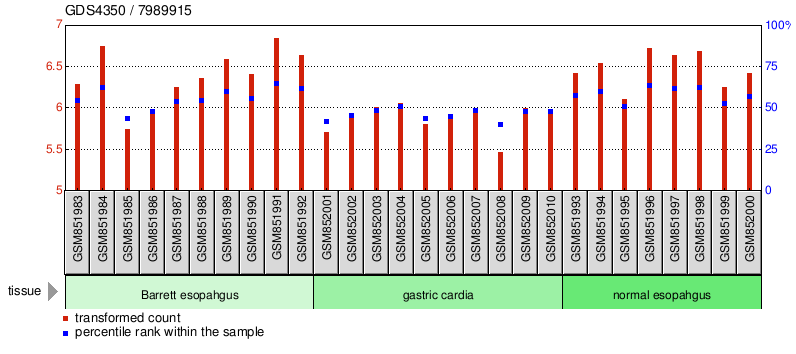 Gene Expression Profile