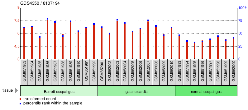 Gene Expression Profile