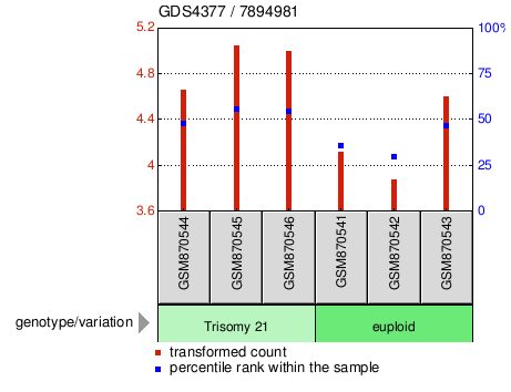 Gene Expression Profile