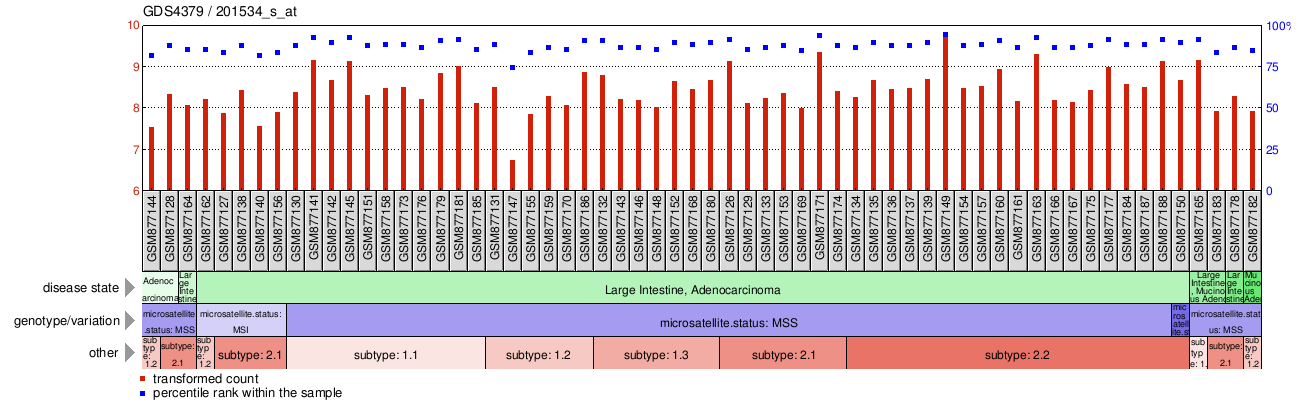 Gene Expression Profile