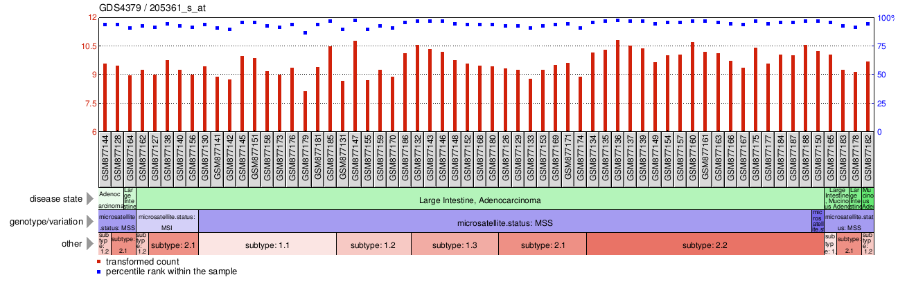 Gene Expression Profile