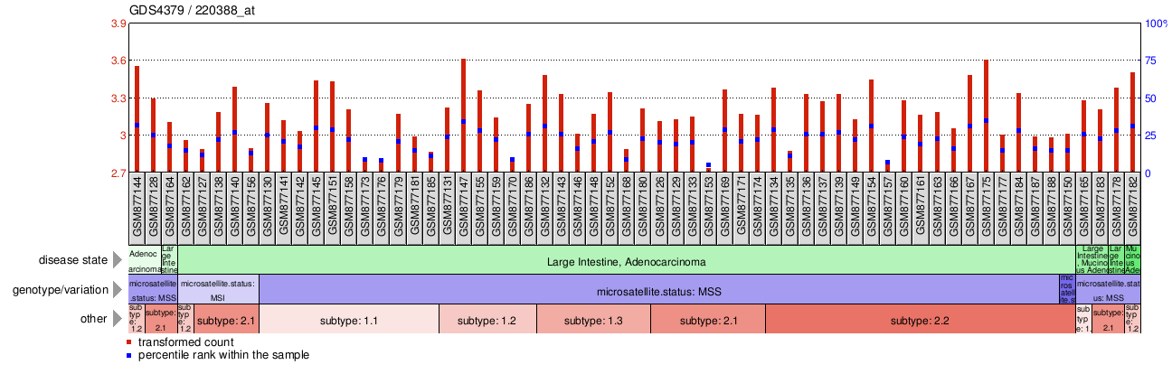 Gene Expression Profile