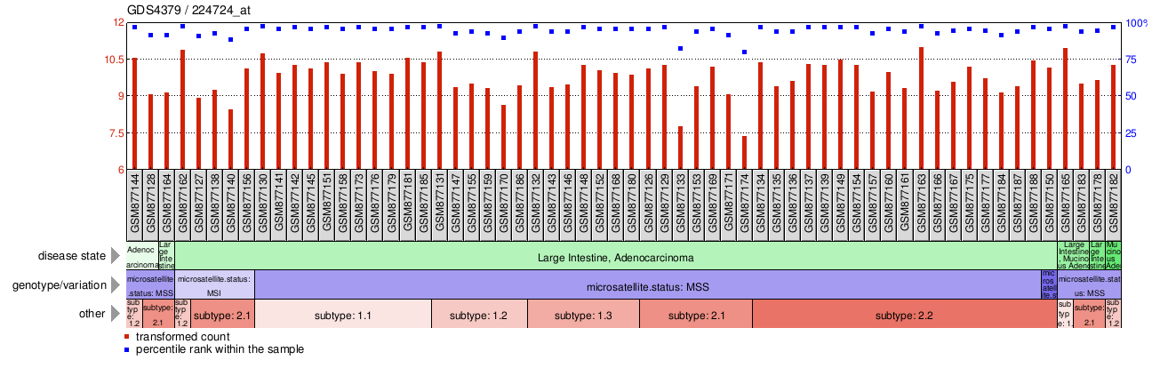 Gene Expression Profile