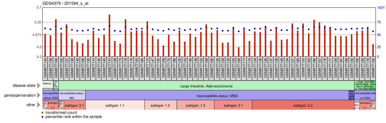 Gene Expression Profile