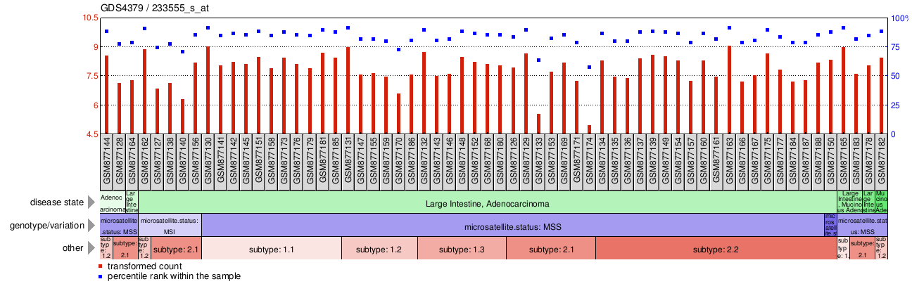 Gene Expression Profile