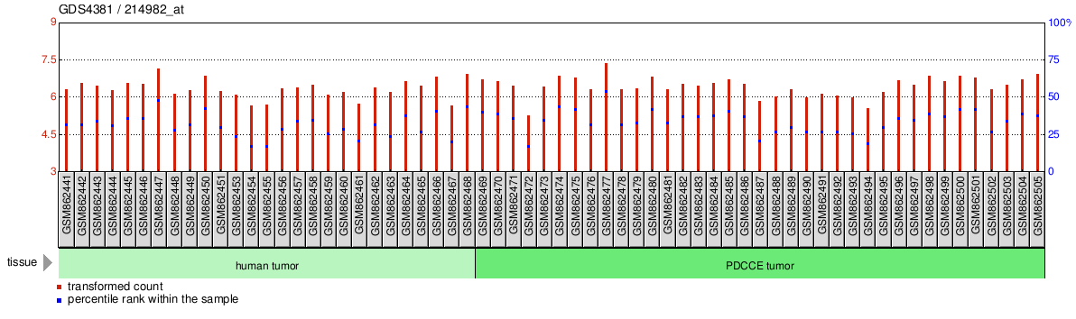 Gene Expression Profile