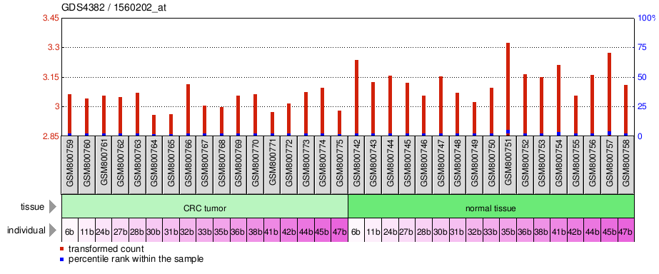 Gene Expression Profile