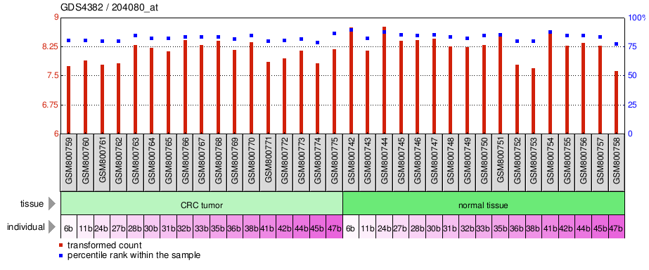 Gene Expression Profile