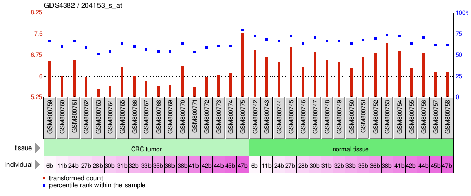 Gene Expression Profile