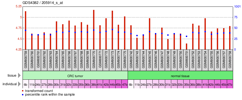 Gene Expression Profile