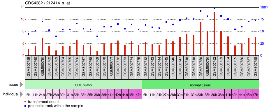 Gene Expression Profile