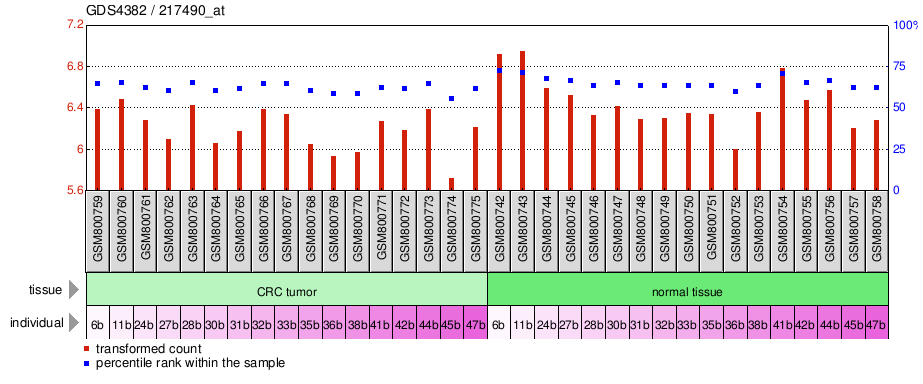 Gene Expression Profile