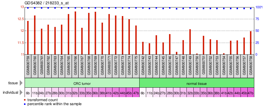 Gene Expression Profile