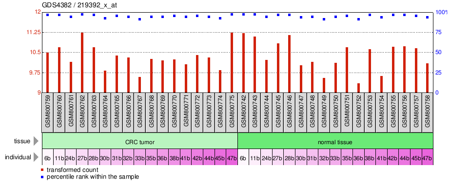 Gene Expression Profile