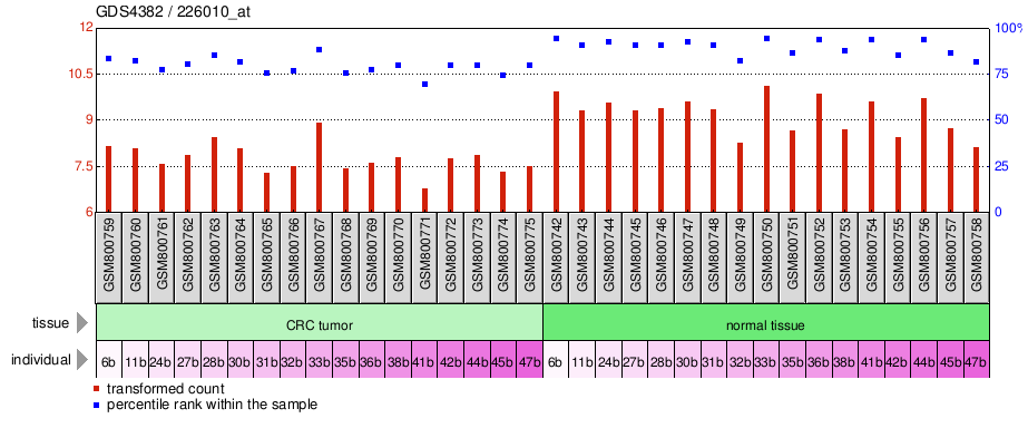 Gene Expression Profile