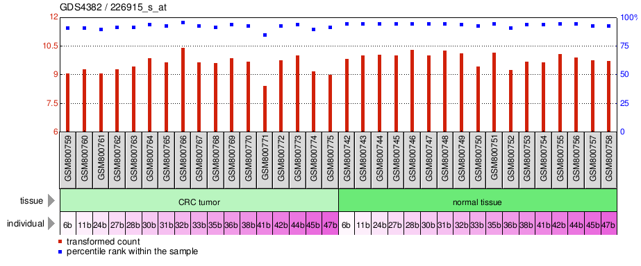 Gene Expression Profile