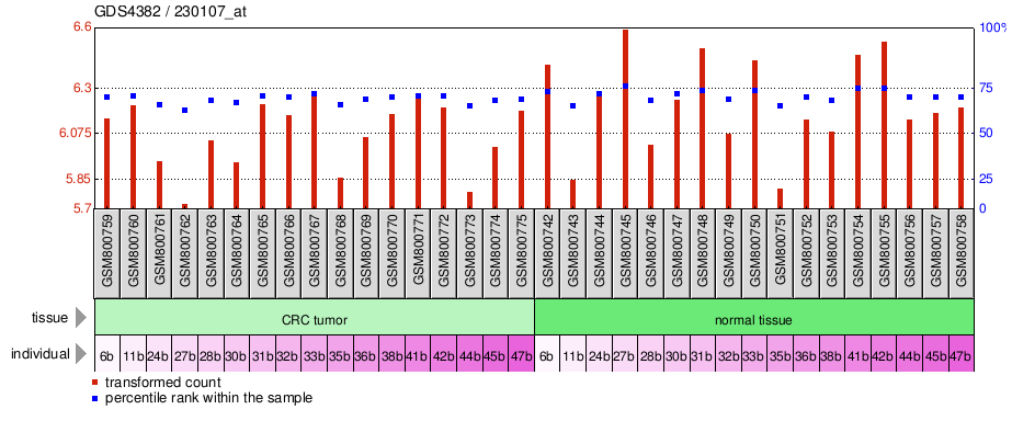 Gene Expression Profile